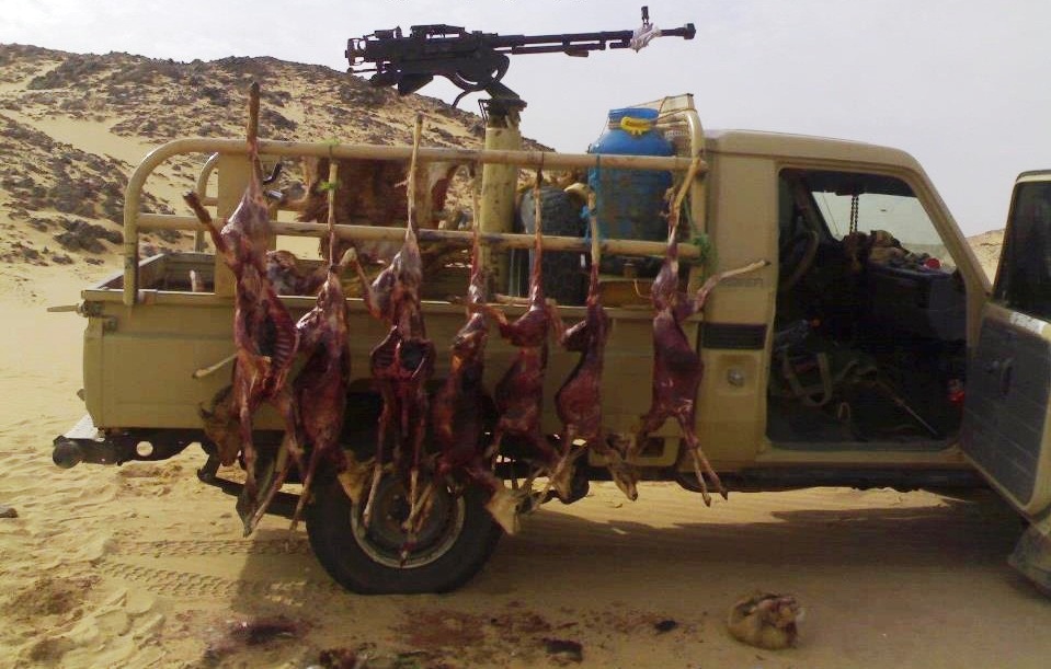 The skinned corpses of gazelles dangling from the side of a small truck with a machine gun mounted on the back of it. 