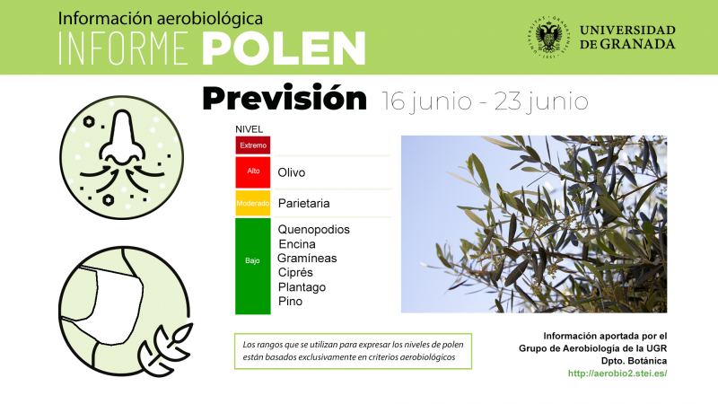 infografía previsión informe polen para los días del 16 al 23 de junio 