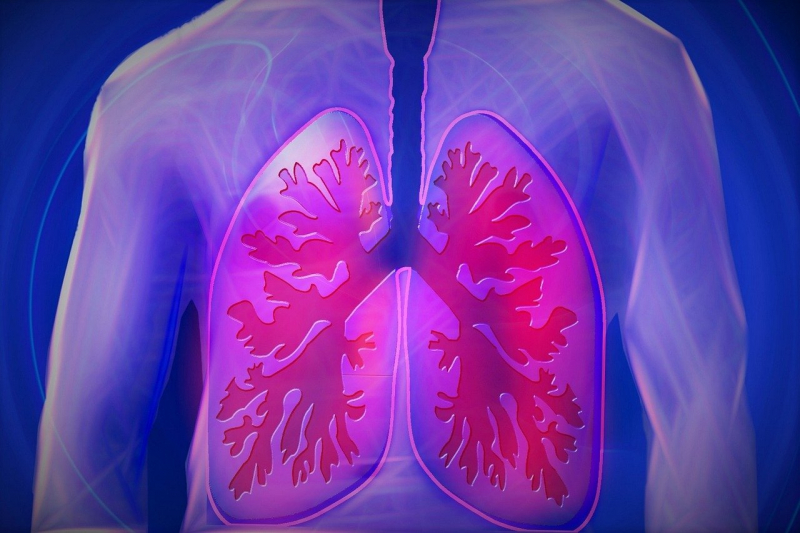 recurso pulmones