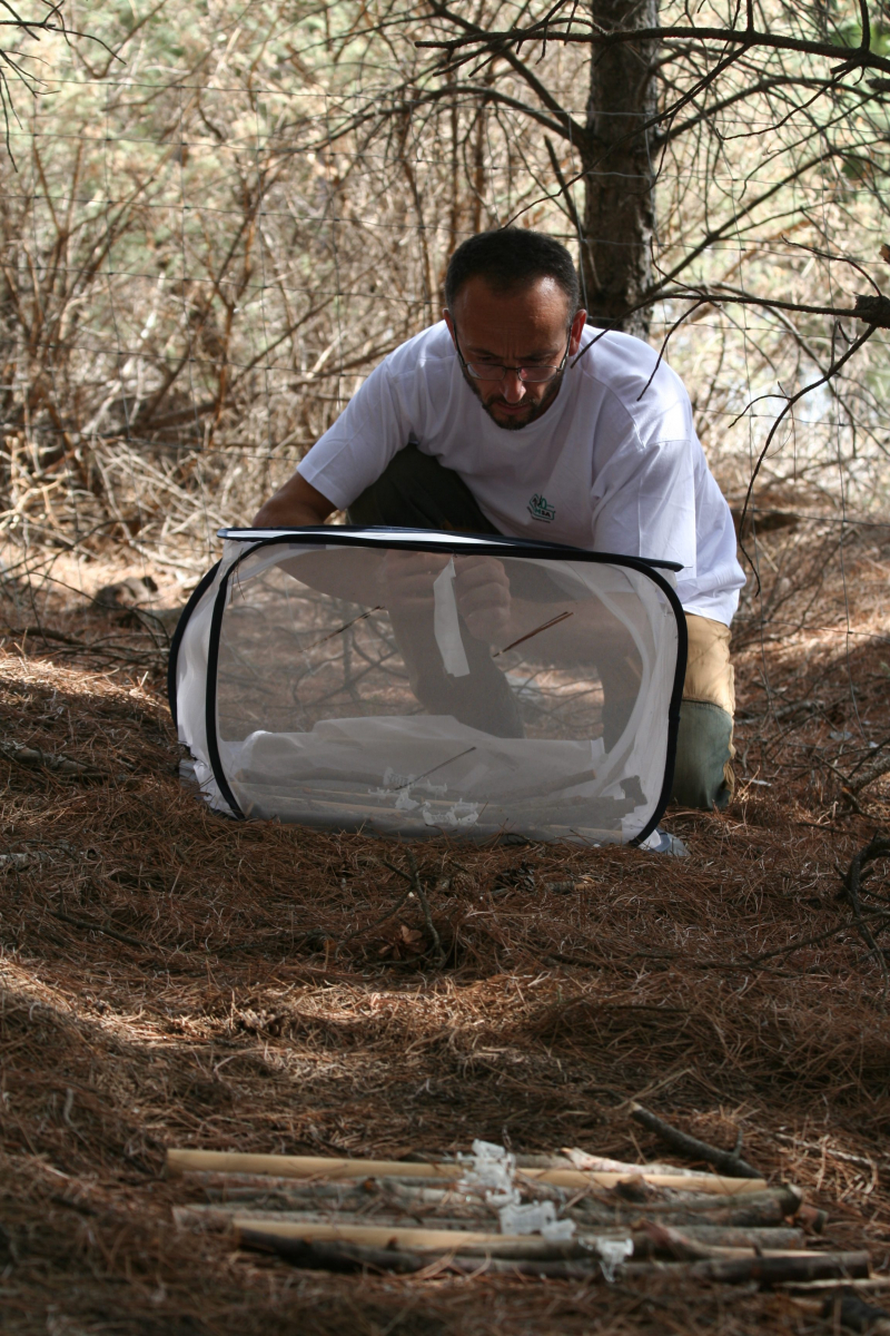 Jorge Castro, catedrático del departamento de Ecología y coautor del trabajo, durante uno de los muestreos para este estudio en Sierra Nevada.