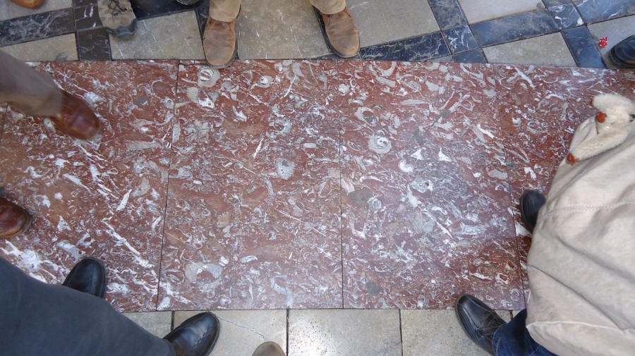 Correos, uauh, vaya rudistas!