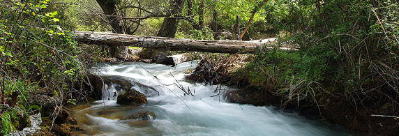 Imagen del río Aguamula