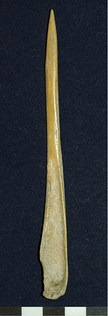 Altamirano Lam2b.tif