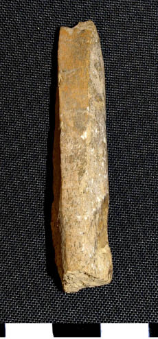 Altamirano Lam5a.tif