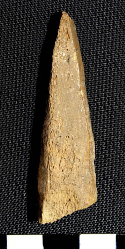 Altamirano Lam5b.tif