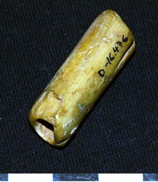 Altamirano Lam6b.tif