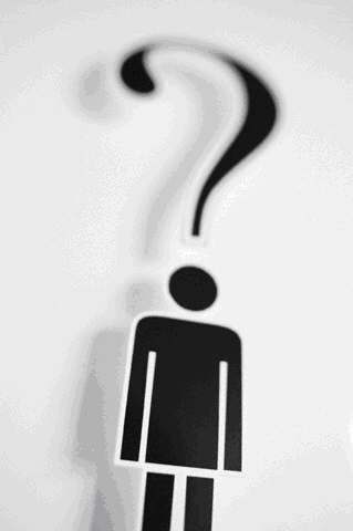 Plan de Innovación en Tutorías