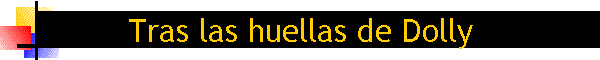 Tras las huellas de Dolly