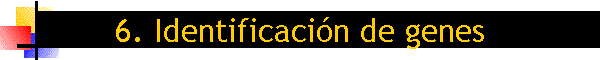 6. Identificacin de genes