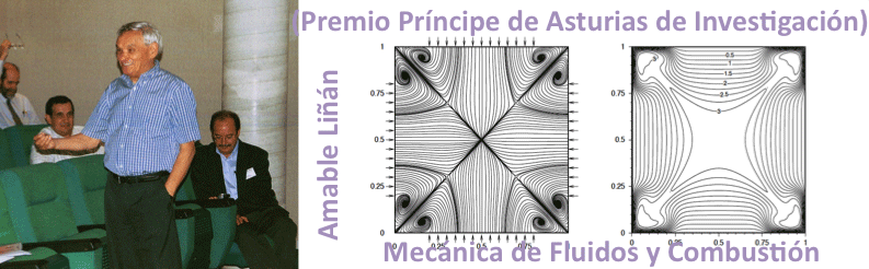Premio Príncipe de Asturias de investigación
