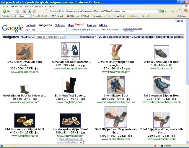 Imgenes buscadas por los alumnos de Traduccin 4C-A para traducir "slipper-boot"