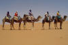 Paseo con los camellos