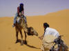 Camello rebelde de Nohemi