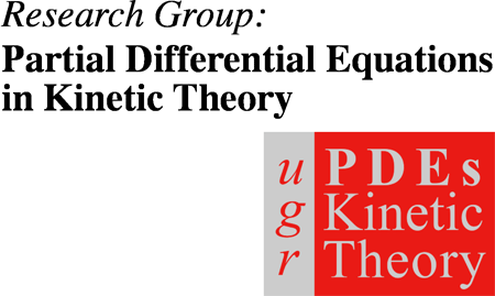 PDEs Kinetic Theory