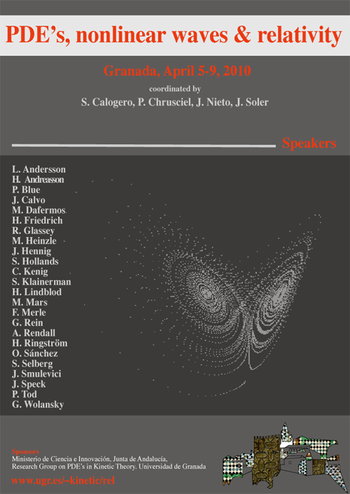 Nonlinear Waves, 2010