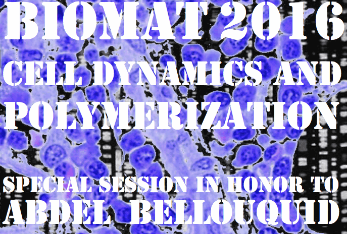BIOMAT 2016 CELL DYNAMICS AND POLYMERIZATION