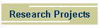 Research Projects