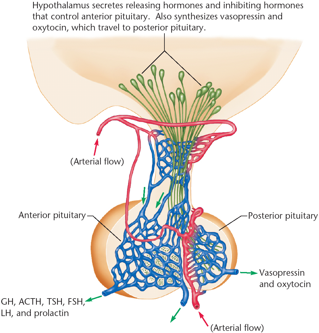 fluctuation mechanism and control on system instantaneous availability 2015