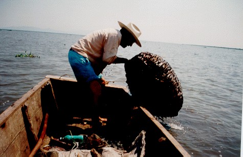 Todo tiempo pasado fue mejor', o la pesca en el lago de Chapala antes de la  desecación de su ciénaga