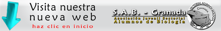 Logo S.A.B.