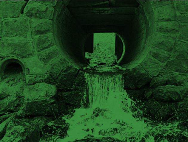 Congreso cambio global