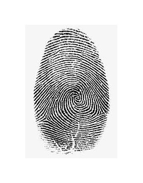 criminología