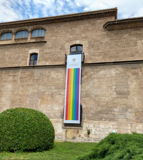 A rainbow flag hanging from the facade of a university building