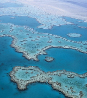 Great Barrier Reef viewed from overhead. 