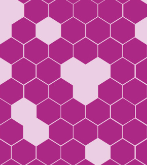 Honeycomb, symbolising the interconnected nature of the social sciences
