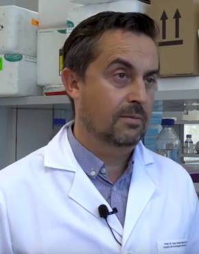 Juan Antonio Marchal