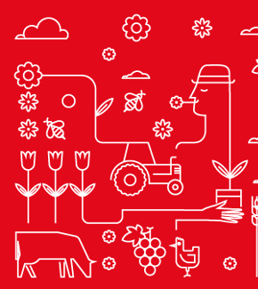 Drawing of crops and livestock