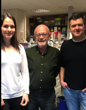 Científicos identifican cómo los exosomas del parásito que provoca la enfermedad de Chagas alt...