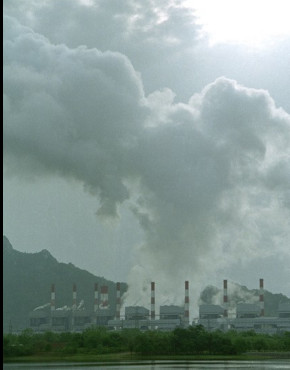 Mesa redonda: “Salud y medio ambiente. Información para la acción responsable”