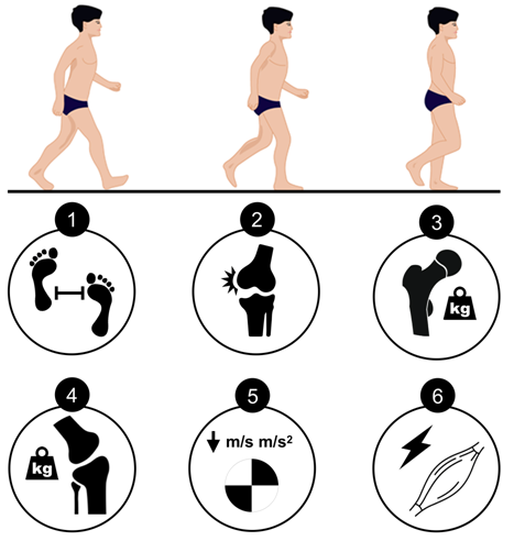 Los niños obesos tienen alteraciones biomecánicas similares a las de adultos con dolor crónico...