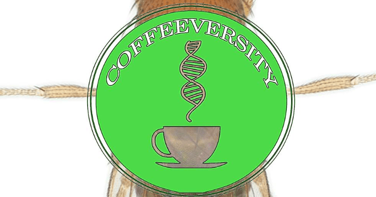 Federico Zurita hablará sobre los organismos modificados genéticamente en la segunda edición d...