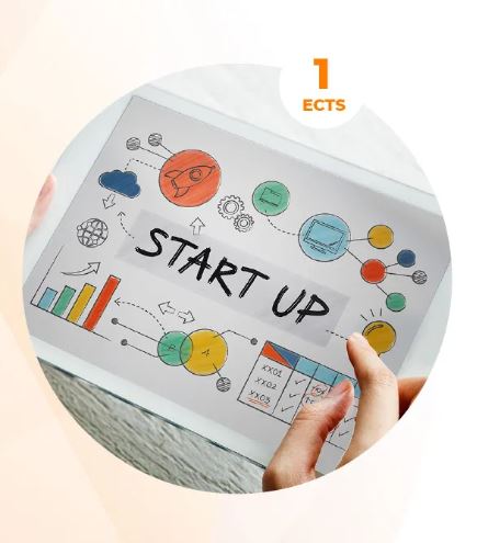 creatividad del programa Business Skills