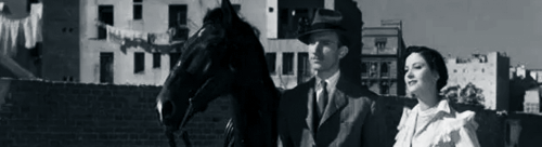 fotograma de la película El último caballo