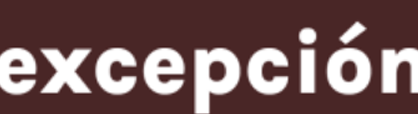 texto excepción