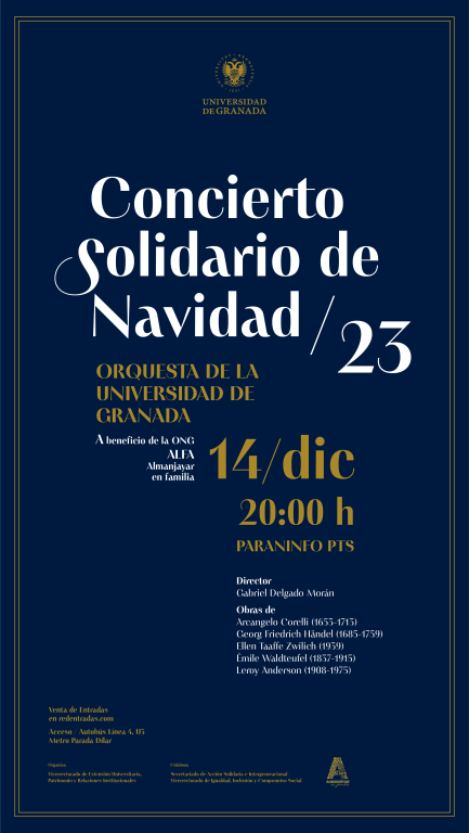 Cartel concierto Solidario
