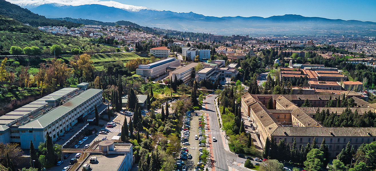 Vista aérea del campus de Cartuja