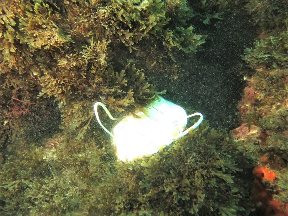 Residuo de mascarilla en el fondo marino