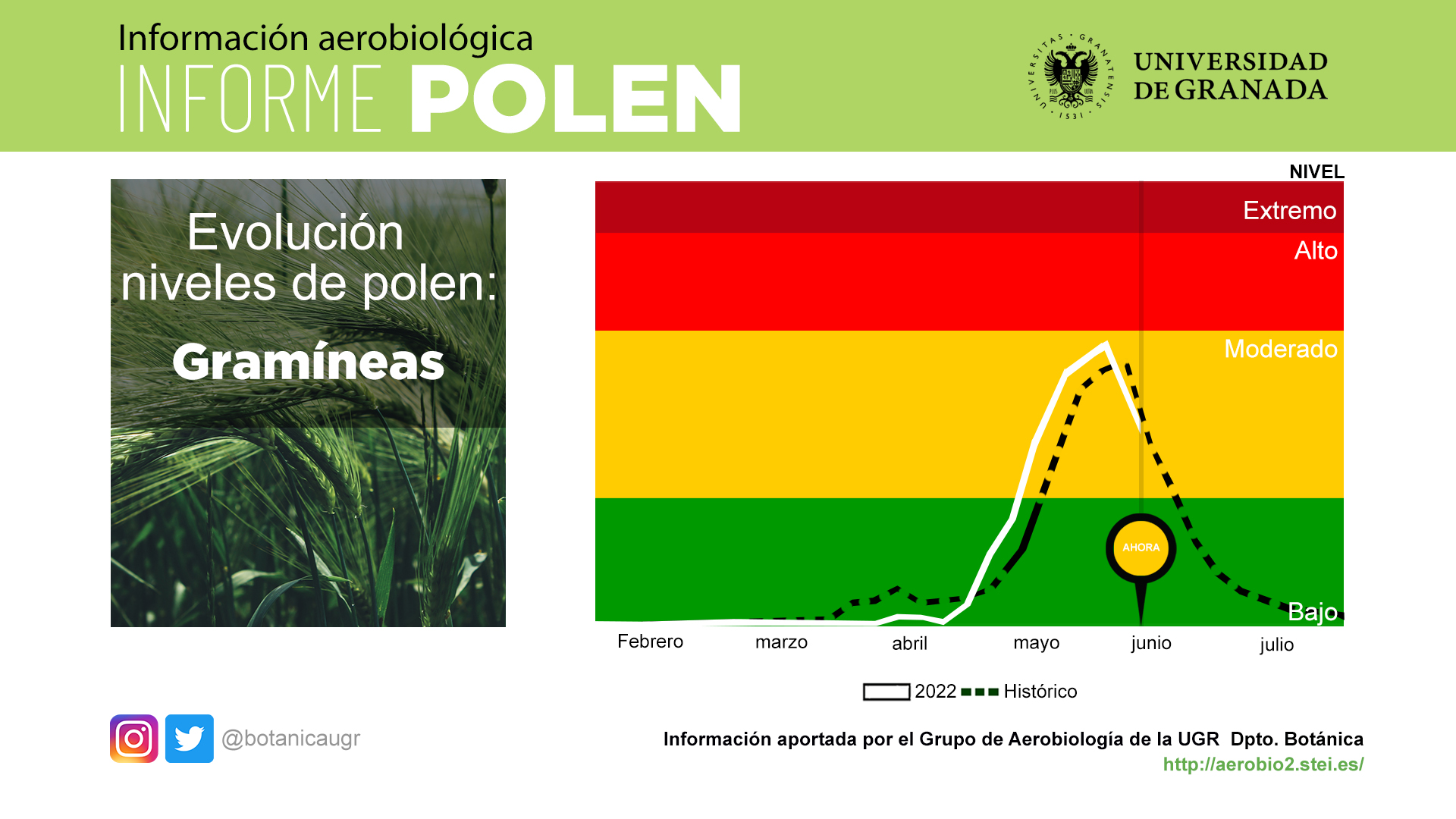 Informe polen 8 de junio de 2022