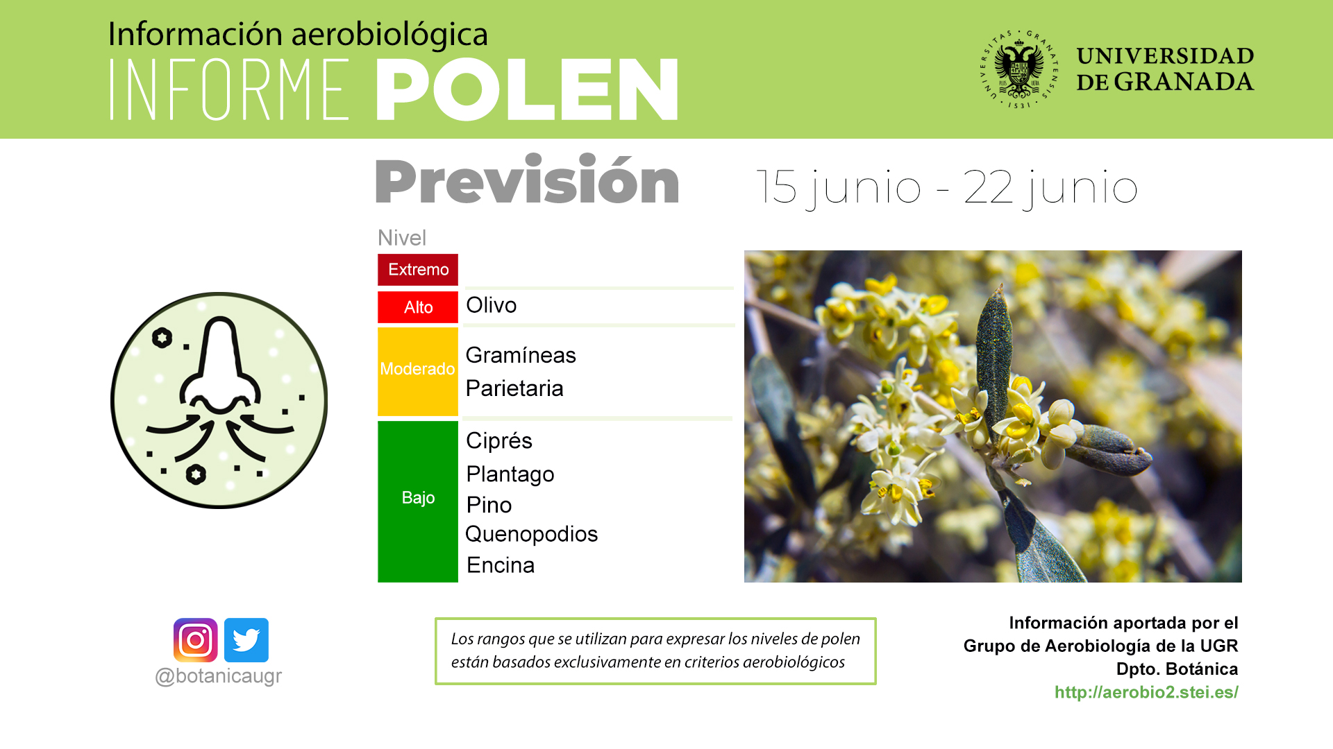 Informe polen