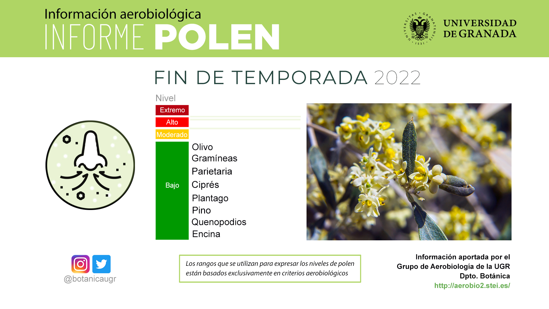 Graficas del informe polen fin de temporada 2022