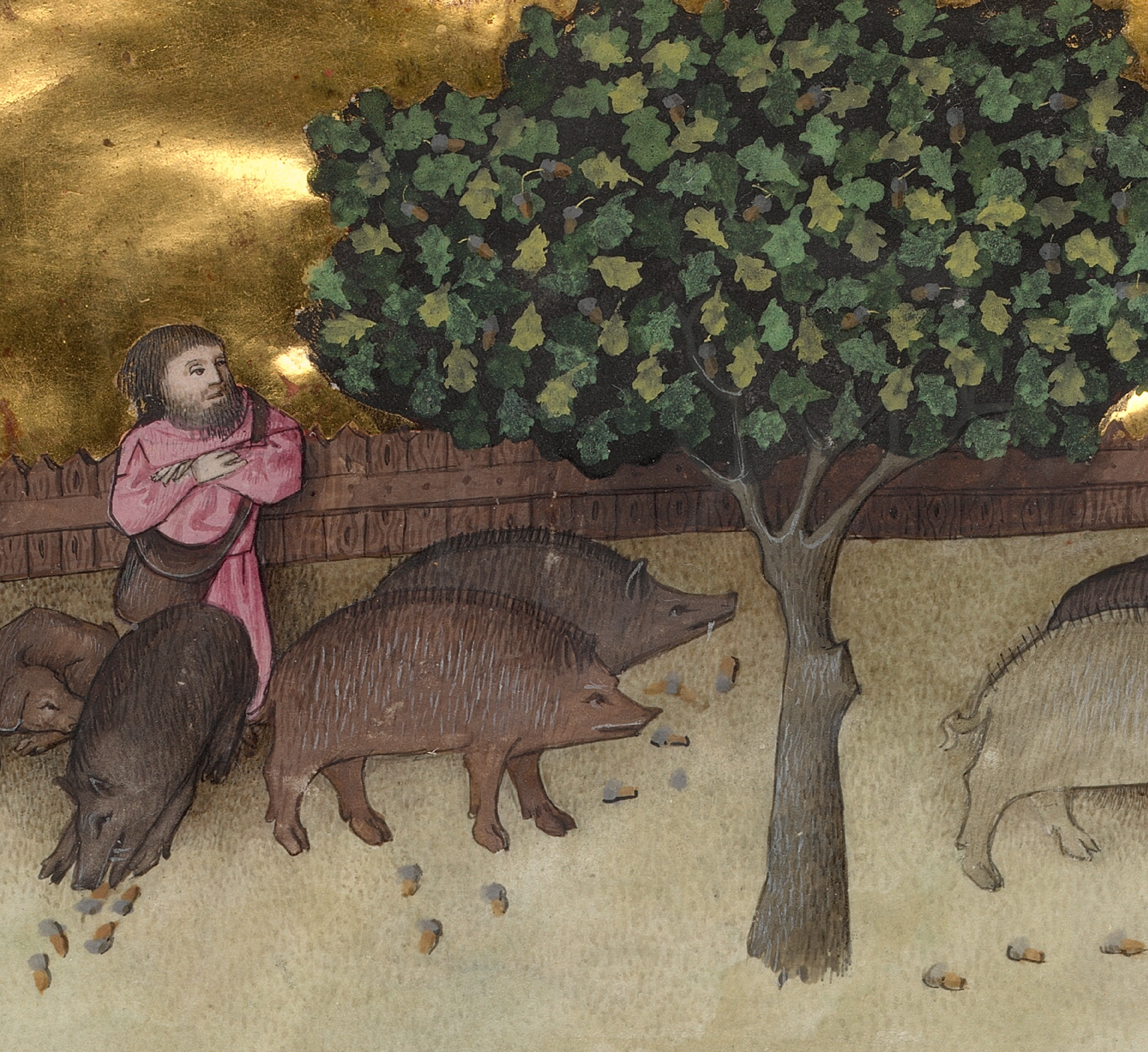 Pintura que representa un ganadero de la edad media alimentando a una piara de cerdos