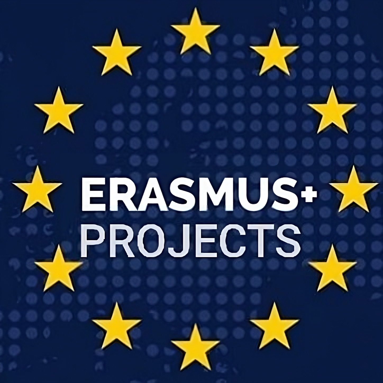Logo de Erasmus Projects