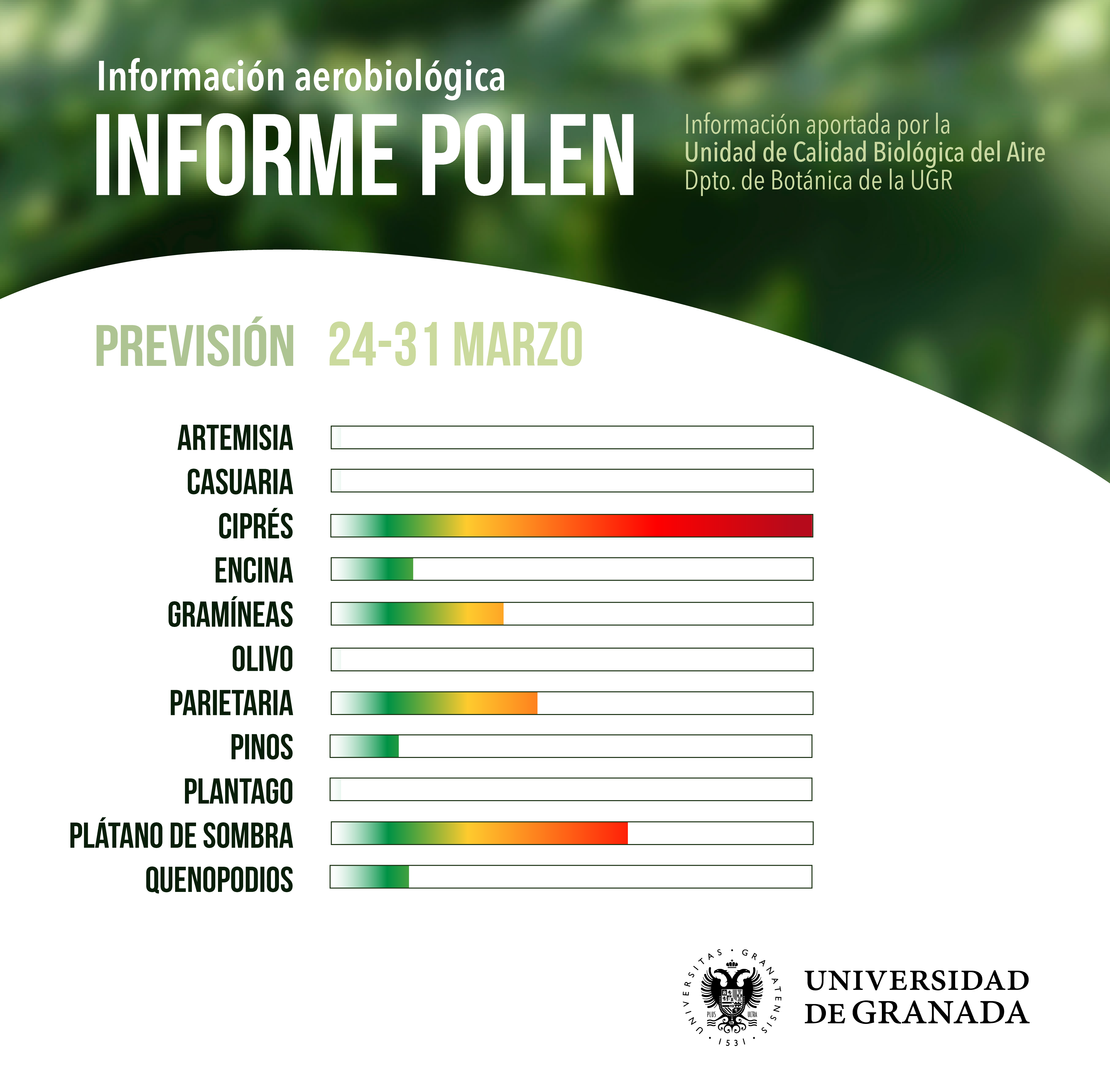 Gráficas informe polen 24 al 31 de marzo