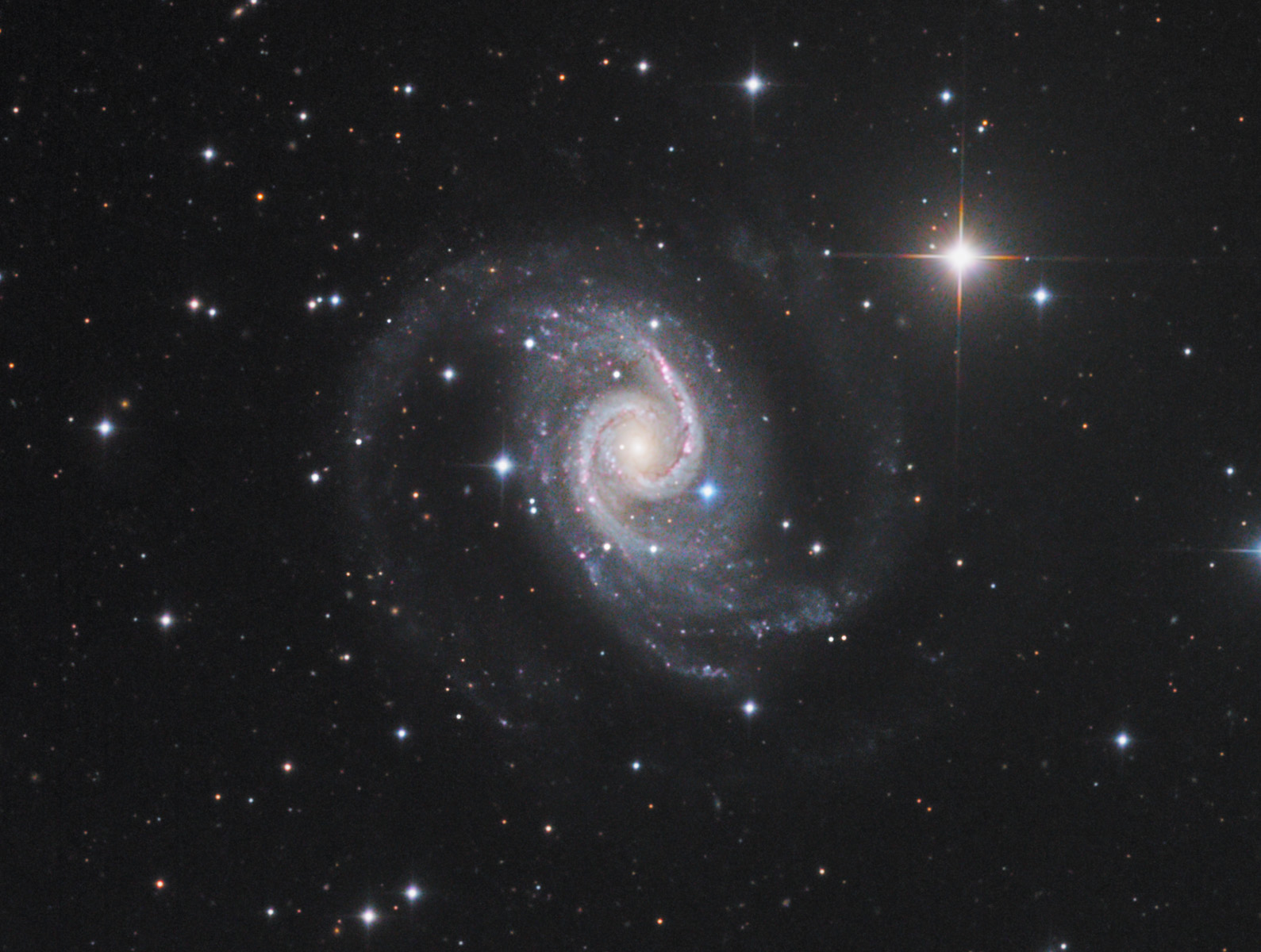 Galaxia NGC1566