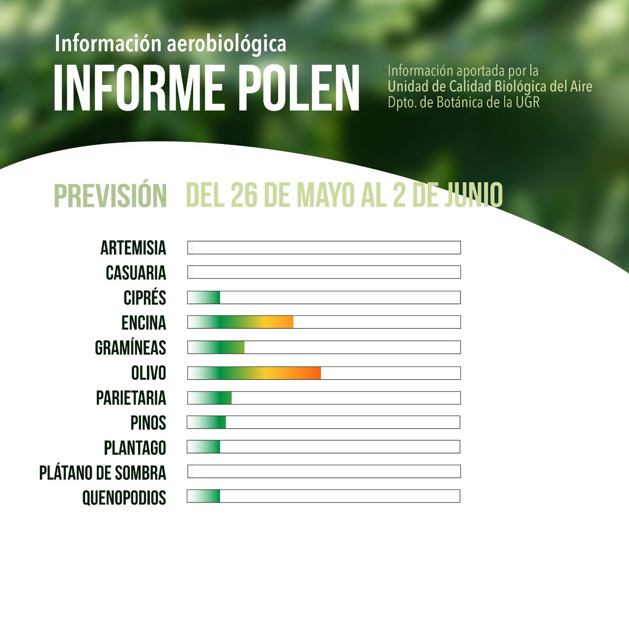 informe polen 26 mayo