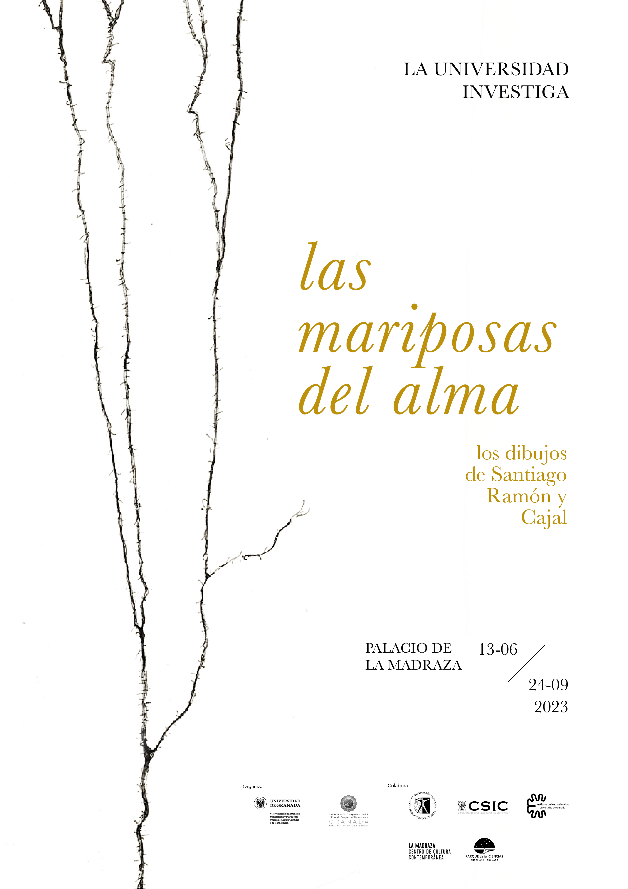creatividad ‘Las mariposas del alma: los dibujos de Santiago Ramón y Cajal’